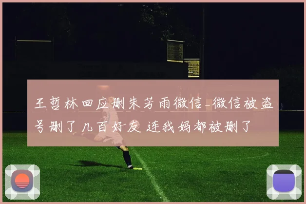 王哲林回应删朱芳雨微信_微信被盗号删了几百好友 连我妈都被删了